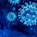 Fälle des Coronavirus Rumänien am 24. April geheilt