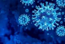 Casi di coronavirus in Romania guariti il ​​24° aprile