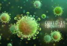Coronavirus Rumænien tilfælde kureret 26. april