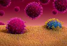 Coronavirus Romania Cazuri Vindecari 4 Aprilie