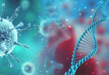 Coronavirus Romania Cazuri Vindecari 6 Aprilie 2020