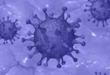 Coronavirus Romania Cazuri Vindecari 8 Aprilie