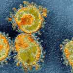 Coronavirus Rumänien fall 17 april
