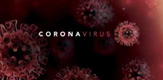 Gevallen van coronavirus genezen op 22 april