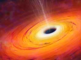 Gaura Neagra analiza