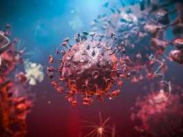Fälle des Coronavirus Rumänien am 11. Mai geheilt