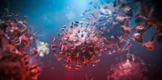 Gevallen van coronavirus Roemenië genezen op 11 mei