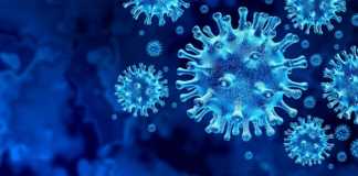 Fälle des Coronavirus Rumänien am 15. Mai geheilt