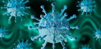 Fälle des Coronavirus Rumänien am 25. Mai geheilt