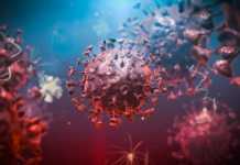 Coronavirus Romania Cazuri vindecari 2 mai