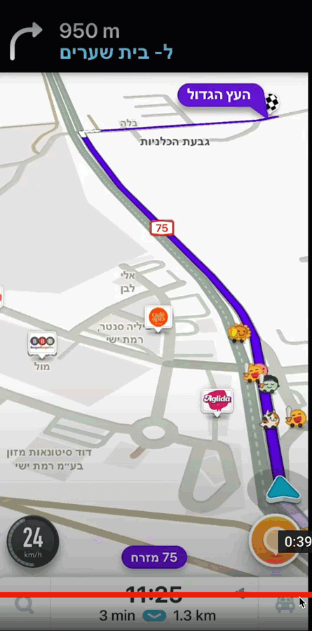 Waze traffic lane guidance