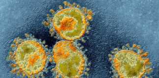 Coronavirus Rumänien-fall botade 11 juni