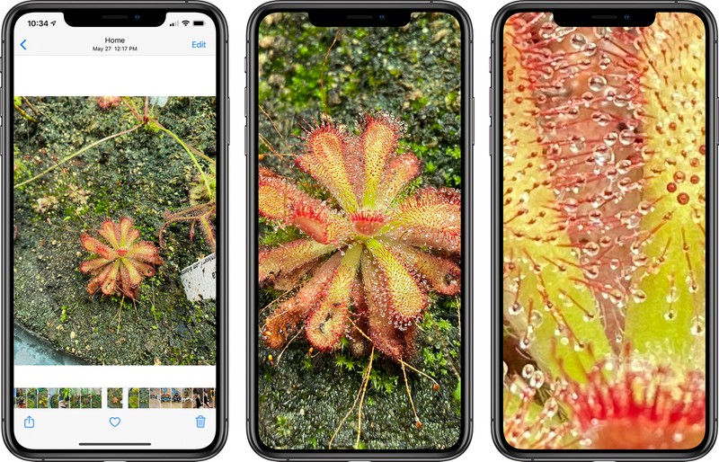 iOS 14 zoomer sur les photos