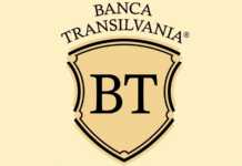 Wiosło BANCA Transilvania