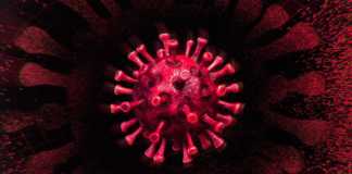 Fälle des Coronavirus Rumänien am 20. Juli geheilt