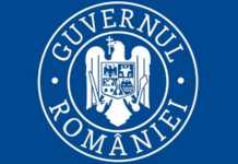 Guvernul Romaniei sustinere economie