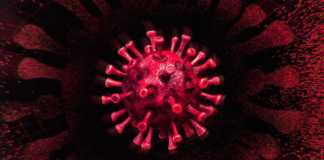 Coronavirus Romania Cases Cures August 5