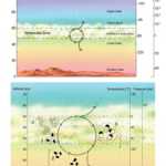 Atmósfera de los organismos del planeta Venus.