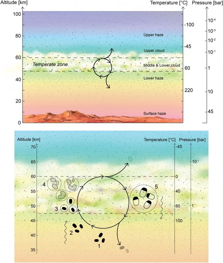 Planeta Venus organisme atmosfera