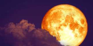 orangefarbener Mond