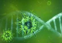 Gevallen van coronavirus Roemenië genezen op 15 september