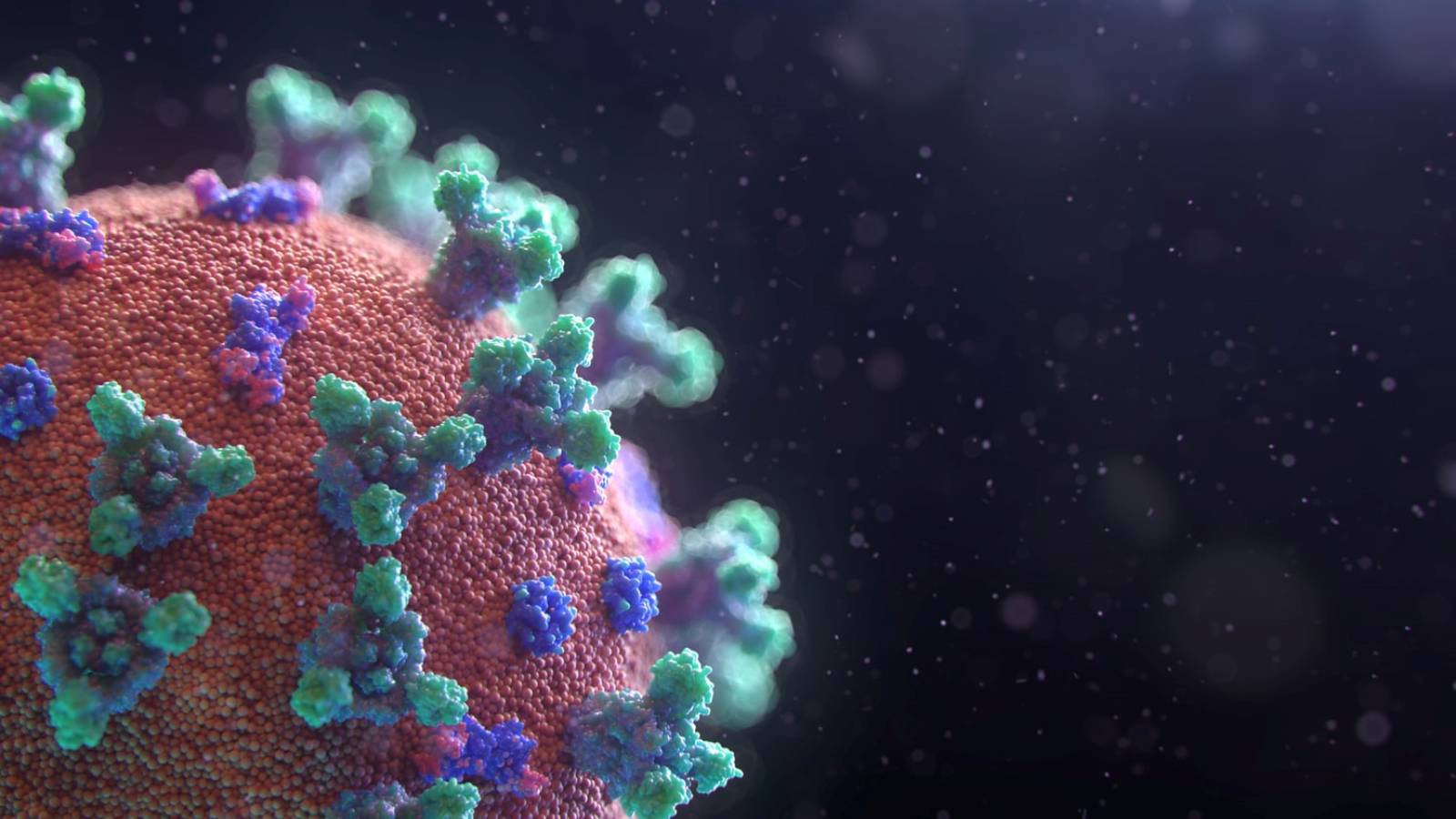 Helbredelse af tilfælde af coronavirus Rumænien 18. september