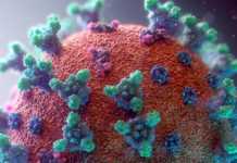 Gevallen van coronavirus Roemenië genezen op 21 september