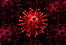 Coronavirus Romania Cases October 31