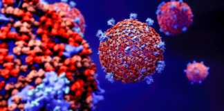 Coronavirus Roemenië Nieuwe gevallen genezen 2 oktober