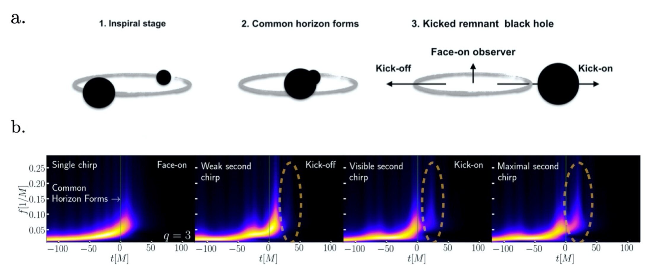 Wyjaśnienie ćwierkania czarnych dziur
