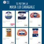 LIDL Romania caragiale camara