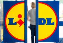 LIDL Romania scandinav