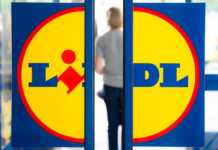 LIDL Romania: Anuntul GROZAV, Ofera Bani GRATIS Clientilor! LIDL Romania scapare