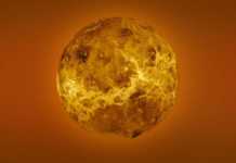 Planeta Venus omenire