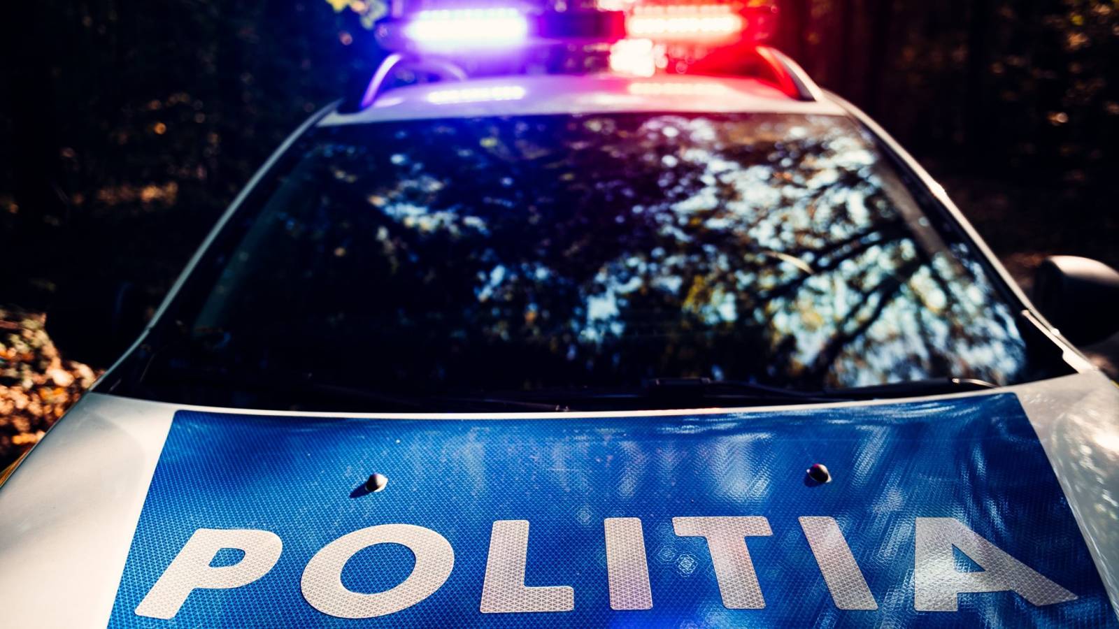 Spezialstreifenwagen der rumänischen Polizei