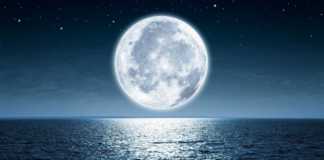 the moon amazes