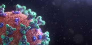 Coronavirus Rumänien Nya fall, botemedel tillkännagav den 16 november 2020