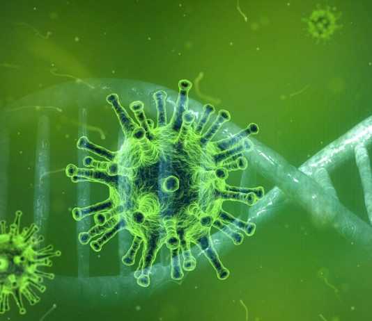 Coronavirus Romania Noile Cazuri, Vindecari din 18 Noiembrie 2020