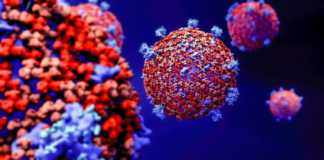 Romanian koronaviruksen uudet tapaukset paranivat 28. marraskuuta