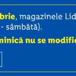 LIDL Romania scurtare program