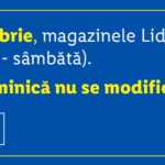 LIDL Romania scurtare program