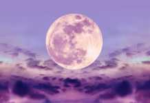 LUNA: INCREDIBIL Anunt cu MARE IMPACT pentru TOATA Omenirea LUNA bacterii