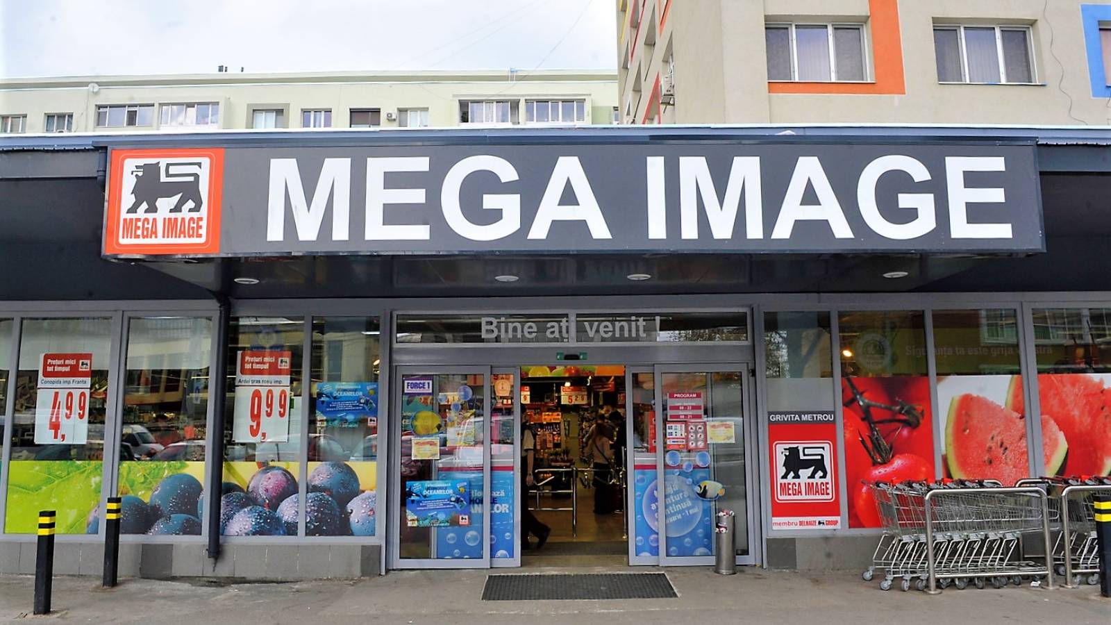 MEGA IMAGE leveranser