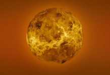 Planeta Venus india