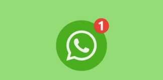 Finalización de WhatsApp