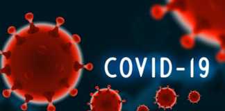 COVID-19 Rumänien RECORD Intensivpatienten 1. Dezember