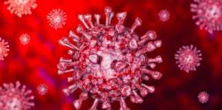 Coronavirus immunitetsvaccination