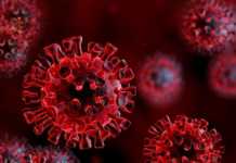 Coronavirus Rate Incidenta Judetele Romania