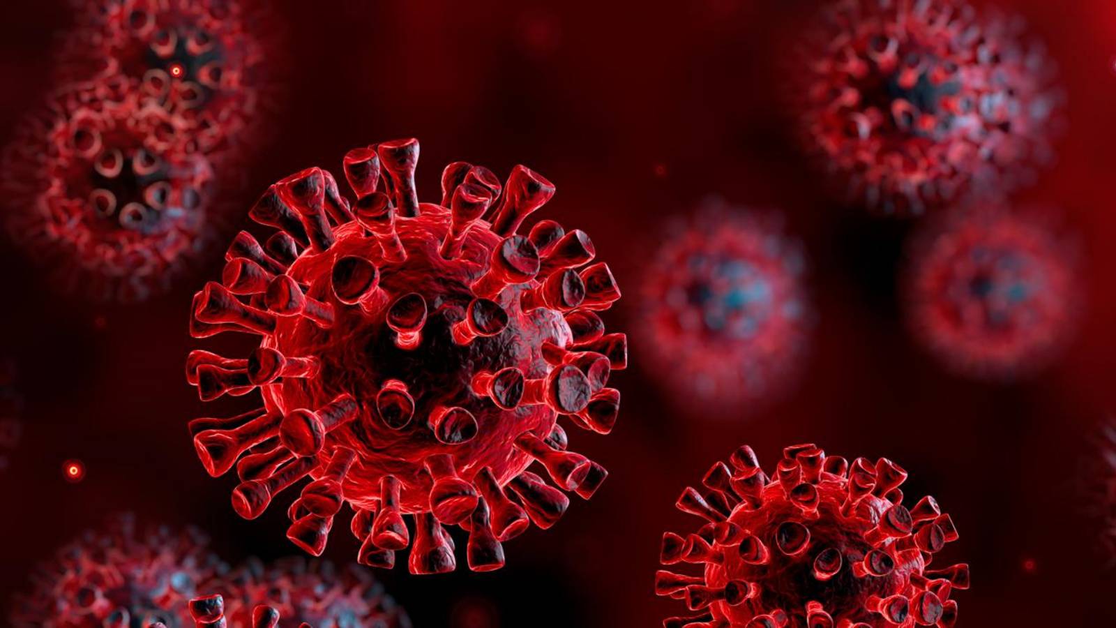 Tasso di incidenza del coronavirus Contee della Romania