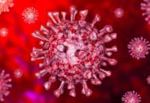 Helbredelse af tilfælde af coronavirus Rumænien 12. december